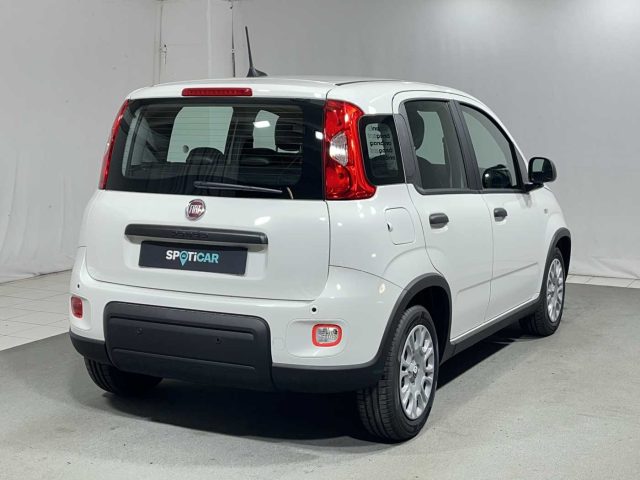 FIAT Panda 1.0 FireFly S&S Hybrid Immagine 4