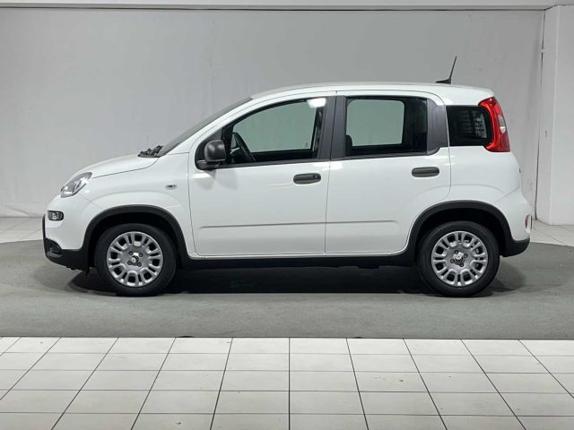 FIAT Panda 1.0 FireFly S&S Hybrid Immagine 1