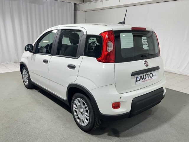 FIAT Panda 1.0 FireFly S&S Hybrid Immagine 2