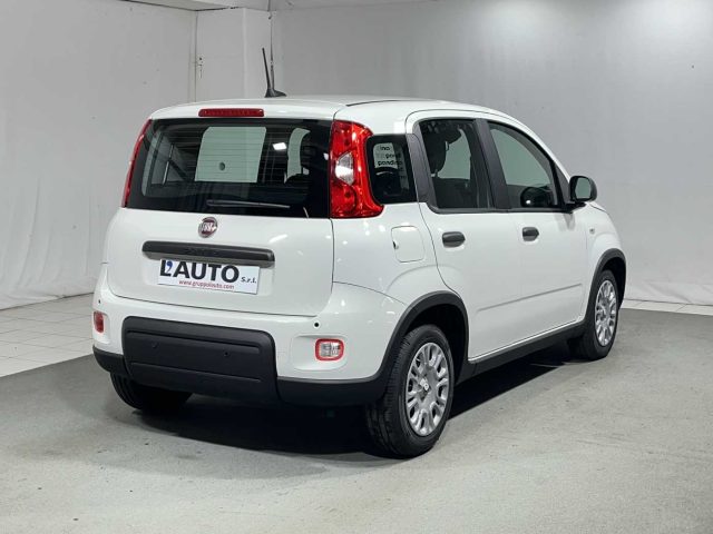 FIAT Panda 1.0 FireFly S&S Hybrid Immagine 4