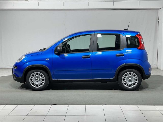 FIAT Panda 1.0 FireFly S&S Hybrid Immagine 1