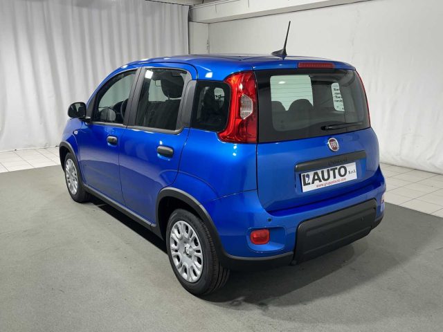 FIAT Panda 1.0 FireFly S&S Hybrid Immagine 2