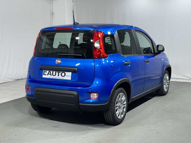 FIAT Panda 1.0 FireFly S&S Hybrid Immagine 4