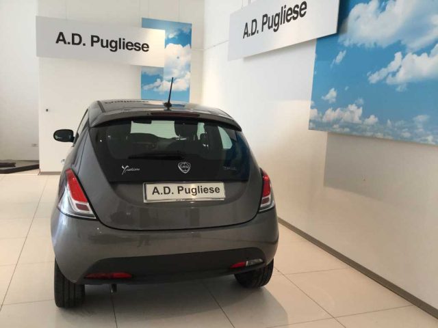 LANCIA Ypsilon 3ª serie -  1.0 FireFly 5 porte S&S Hybrid Ecoch Immagine 4