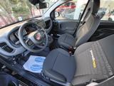 FIAT Panda 1.0 70CV Hybrid #PRONTA CONSEGNA