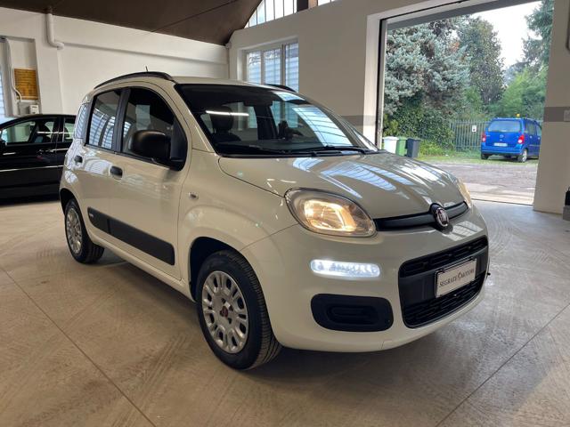 FIAT Panda 1.2 Easy Immagine 1