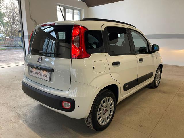 FIAT Panda 1.2 Easy Immagine 3