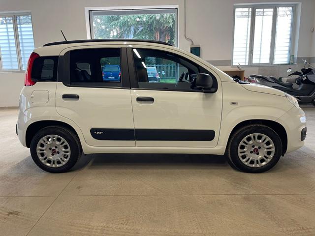 FIAT Panda 1.2 Easy Immagine 2