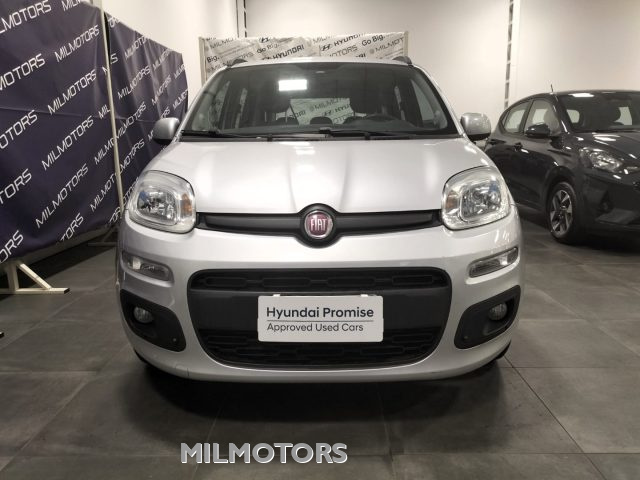 FIAT Panda 1.2 Lounge Immagine 1