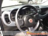FIAT Panda 1.0  Hybrid  Van 2 posti