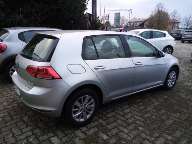 VOLKSWAGEN Golf Business 1.6 TDI 5p. Comfortline BlueMotion Techno Immagine 2