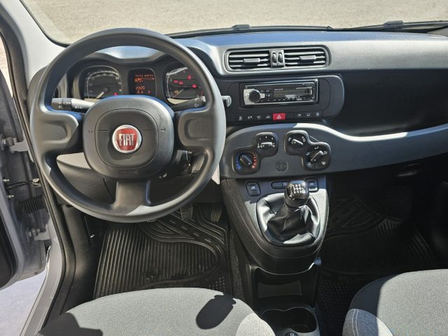 FIAT Panda 1.0 FireFly S&S Hybrid Immagine 4