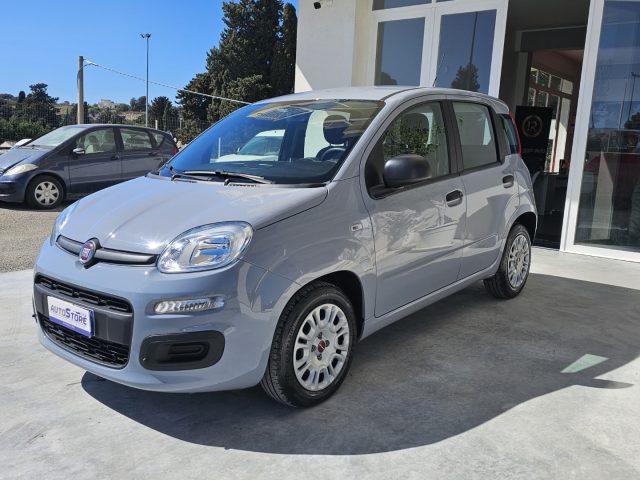 FIAT Panda 1.0 FireFly S&S Hybrid Immagine 1