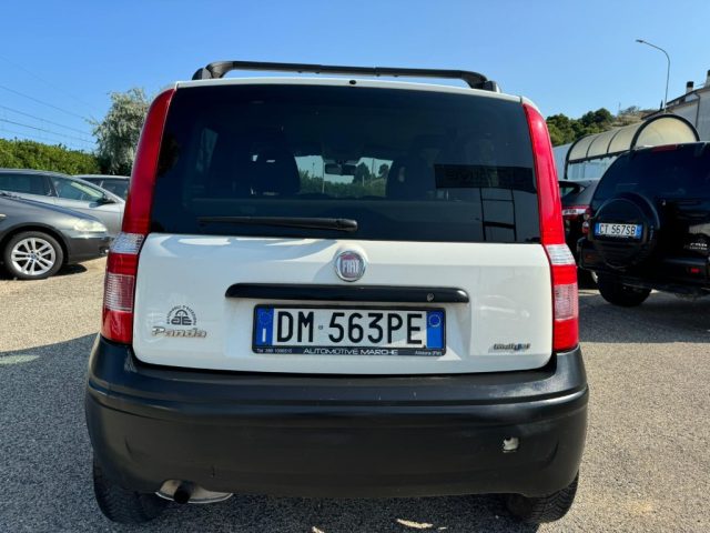 FIAT Panda 1.3 MJT 16V Immagine 4