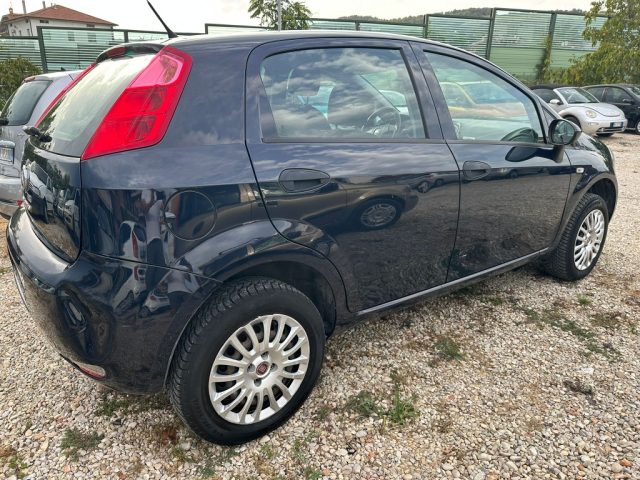 FIAT Punto 1.4 8V 5 porte Natural Power Street Immagine 3