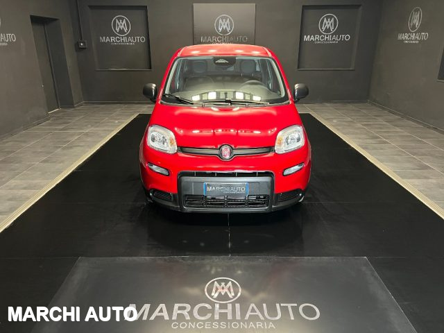 FIAT Panda 1.0 FireFly S&S Hybrid Immagine 1