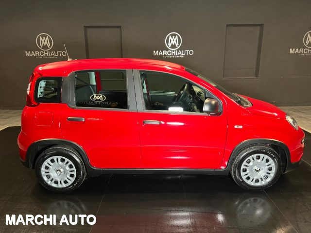 FIAT Panda 1.0 FireFly S&S Hybrid Immagine 3