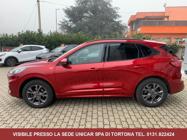 FORD Kuga 2.0 Diesel  150cv ST-Line, 4X4 CAMBIO AUTOMATICO Immagine 3