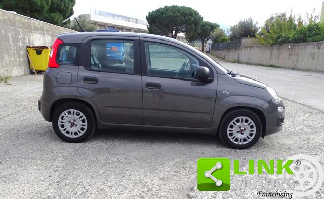 FIAT Panda 1.0 FireFly S&S Hybrid Immagine 3