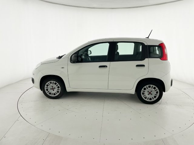 FIAT Panda 1.2 EasyPower Easy - OK NEOPATENTATO Immagine 3