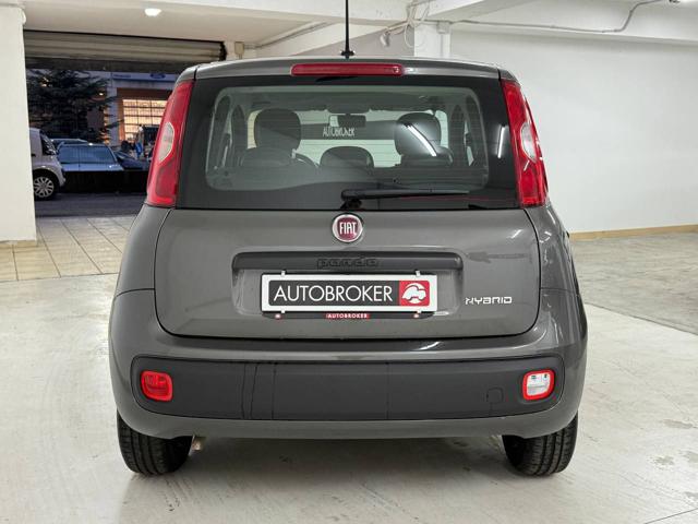 FIAT Panda 1.0 FireFly S&S Hybrid Immagine 4