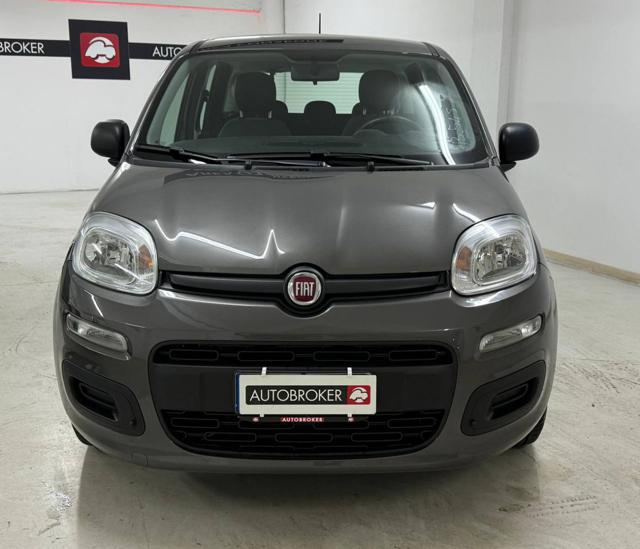 FIAT Panda 1.0 FireFly S&S Hybrid Immagine 1