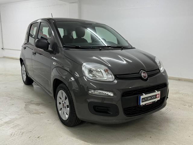 FIAT Panda 1.0 FireFly S&S Hybrid Immagine 2