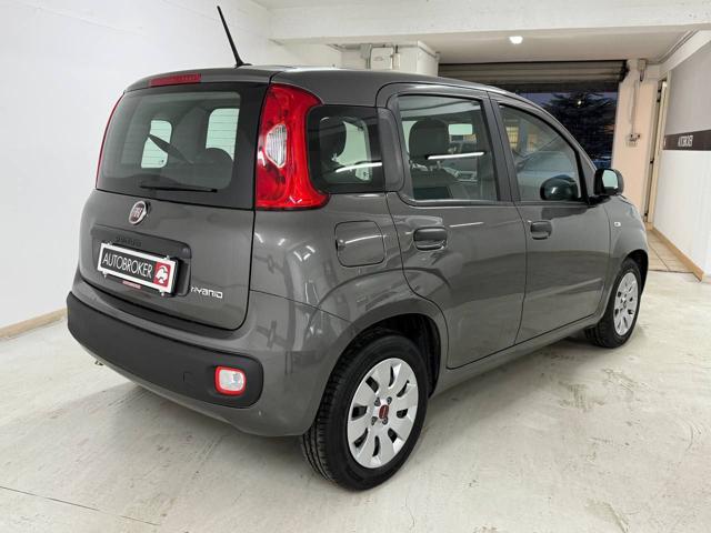 FIAT Panda 1.0 FireFly S&S Hybrid Immagine 3