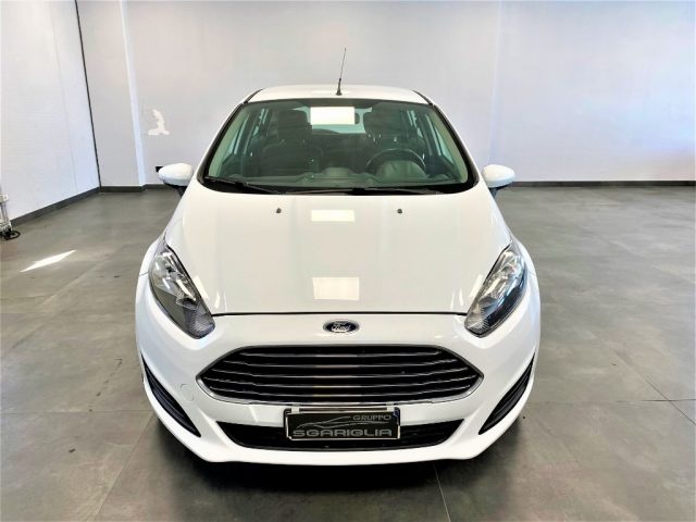 FORD Fiesta 1.5 TDCi 5 porte Business Immagine 2