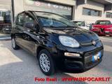 FIAT Panda 1.2 Easy NEOPATENTATI