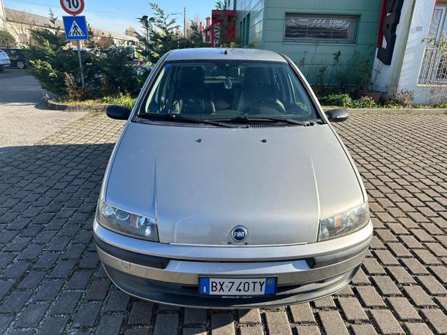 FIAT Punto 1.2i cat 5 porte Verve Immagine 2