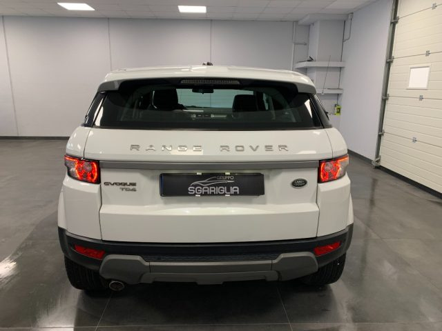 LAND ROVER Range Rover Evoque 2.2 TD4 Prestige 5 Porte Immagine 4