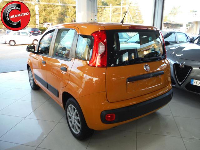 FIAT Panda 1.2 Easy Immagine 3