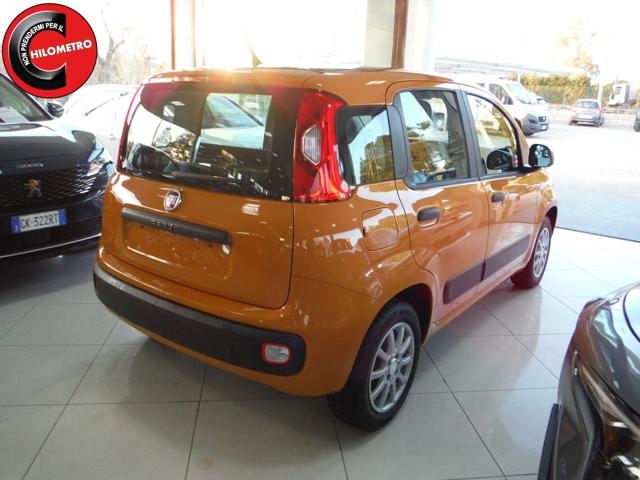 FIAT Panda 1.2 Easy Immagine 2