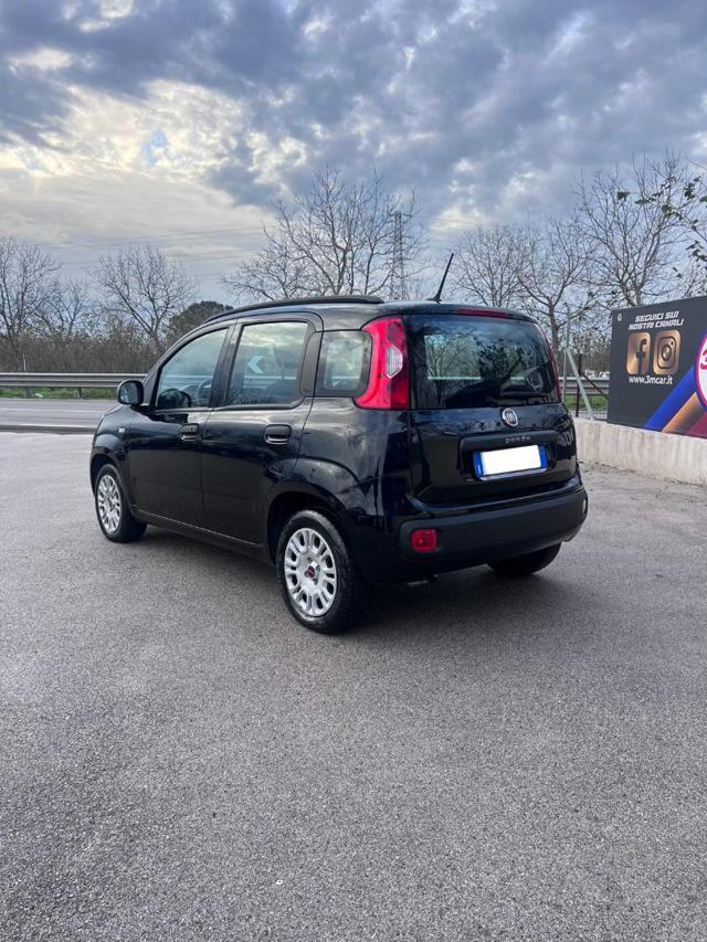 FIAT Panda 1.2 EasyPower Easy Immagine 2