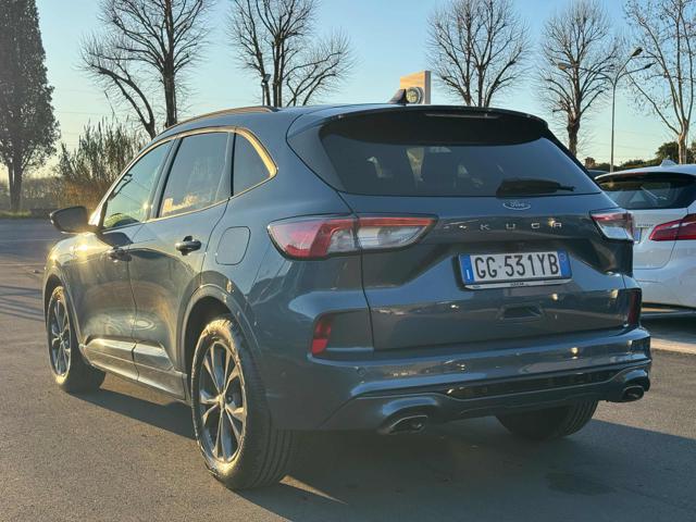 FORD Kuga 1.5 EcoBlue 120 CV 2WD ST-Line Immagine 3