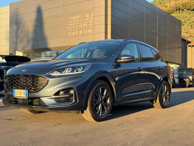 FORD Kuga 1.5 EcoBlue 120 CV 2WD ST-Line Immagine 2