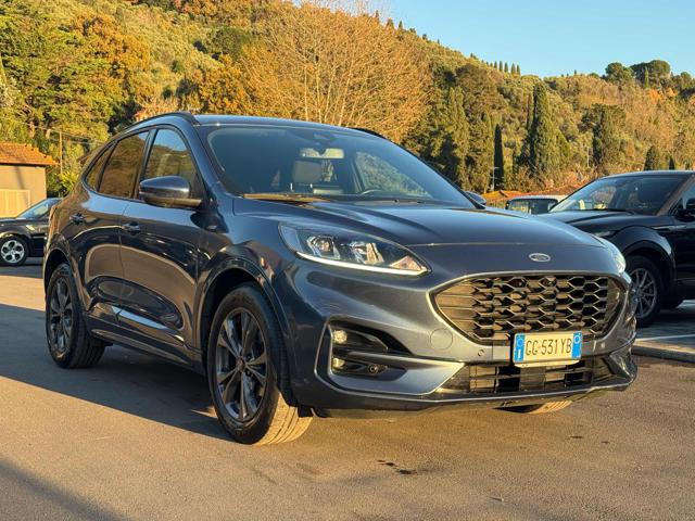 FORD Kuga 1.5 EcoBlue 120 CV 2WD ST-Line Immagine 0