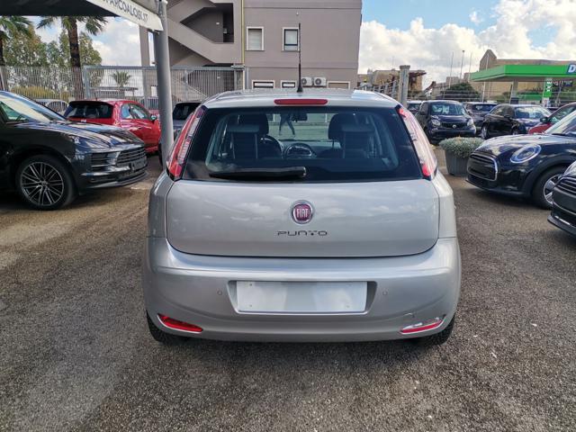 FIAT Punto 1.2 8V 5 porte Easy Immagine 3