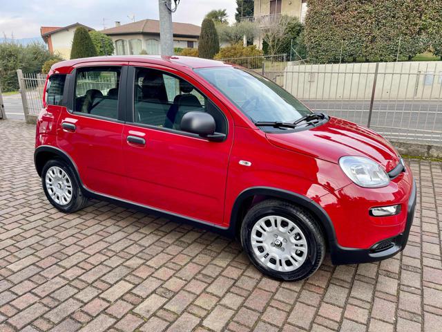 FIAT Panda 1.0 FireFly S&S Hybrid - KM0 Immagine 2