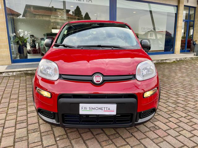 FIAT Panda 1.0 FireFly S&S Hybrid - KM0 Immagine 1