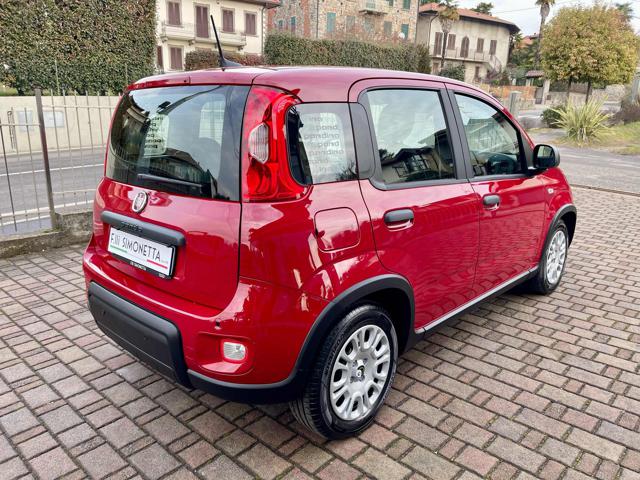 FIAT Panda 1.0 FireFly S&S Hybrid - KM0 Immagine 3