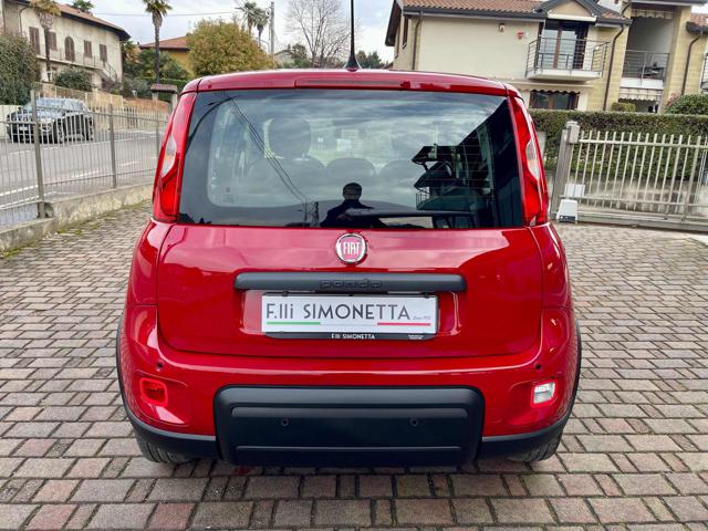 FIAT Panda 1.0 FireFly S&S Hybrid - KM0 Immagine 4