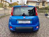 FIAT Panda 1.0 FireFly S&S Hybrid - KM0