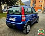 FIAT Panda 1.2 4x4 Climbing  NEOPATENTATO