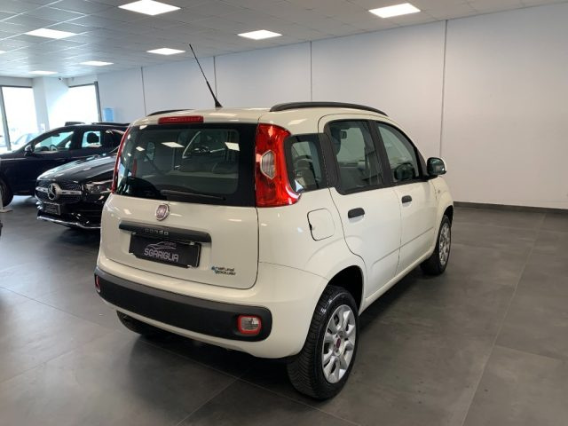 FIAT Panda 0.9 Metano Natural Power Lounge Immagine 3