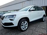 SKODA Karoq 1.6 TDI SCR Ambition