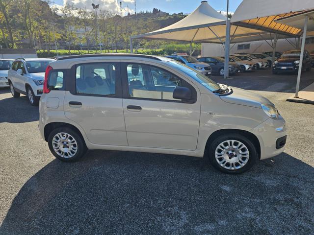 FIAT Panda 1.2 Easy Immagine 3