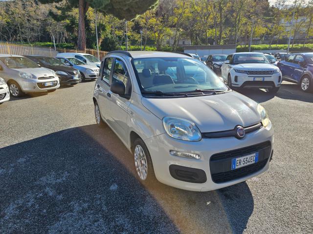 FIAT Panda 1.2 Easy Immagine 2