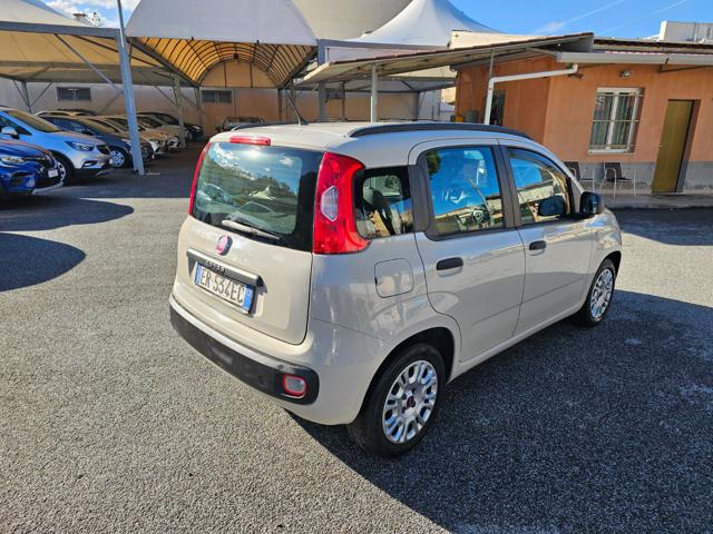 FIAT Panda 1.2 Easy Immagine 4